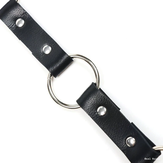 Anal Hooks and Leash Anal EverydayUse Hook Kinky 5853 with Collar 0205